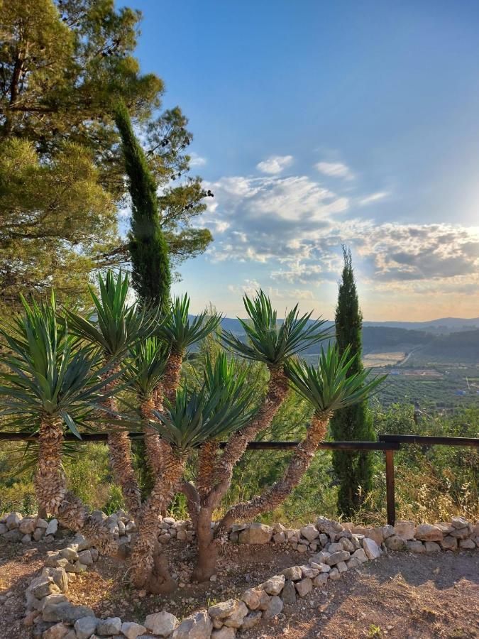 B&B Villa Maria Ester Vieste Dış mekan fotoğraf