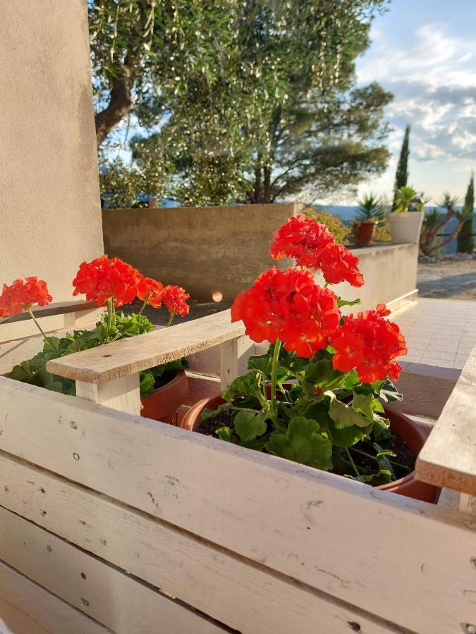 B&B Villa Maria Ester Vieste Dış mekan fotoğraf